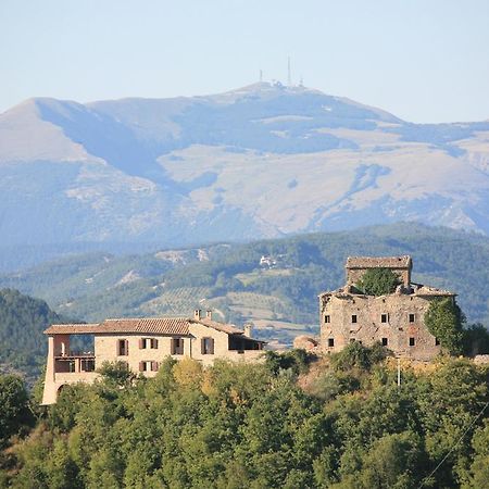 Agriturismo Monte Valentino Pietralunga  Esterno foto